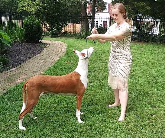 Hretz with dog Levert