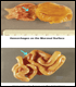 image of Hemorrhages on the Mucosal Surface and Hemorrhagic Areas on the Intestines
