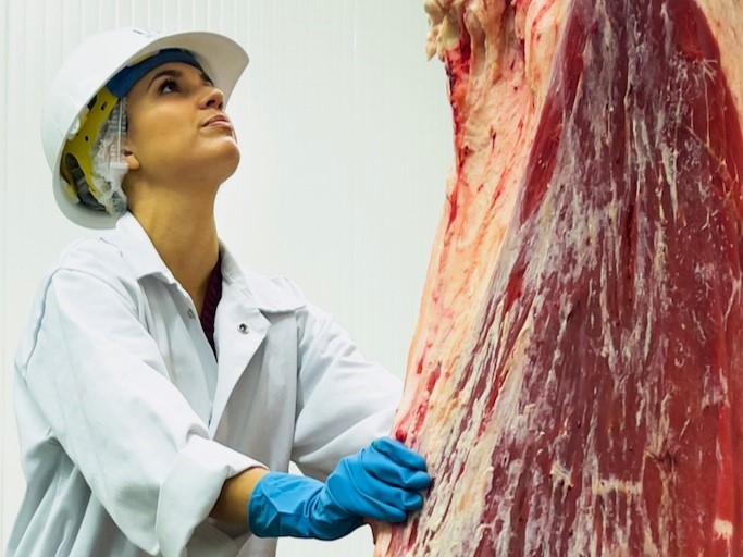 Career Profiles-Public Health Veterinarian