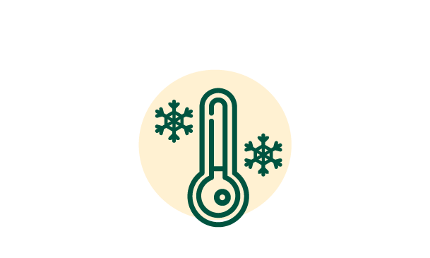 Temperature gauge with snow flakes.