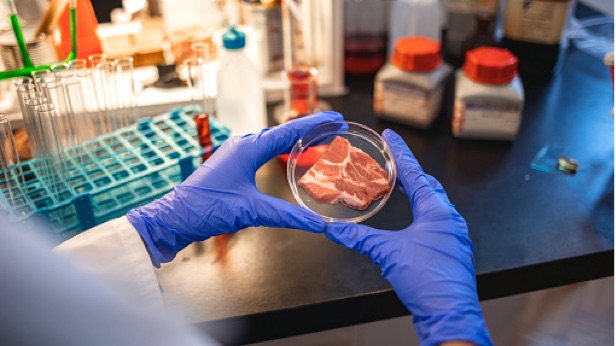 A person wearing gloves holds a petri dish in a lab