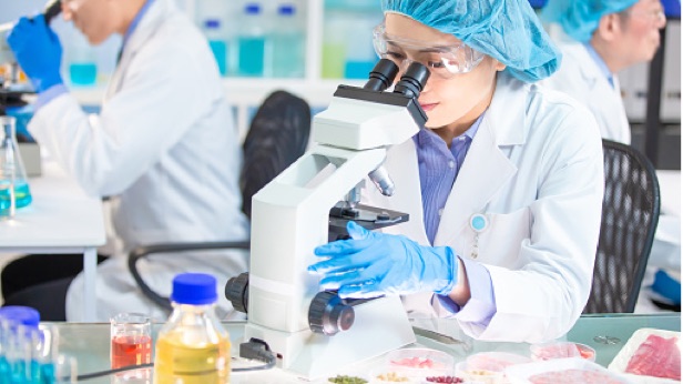 Scientists look through microscopes in a lab