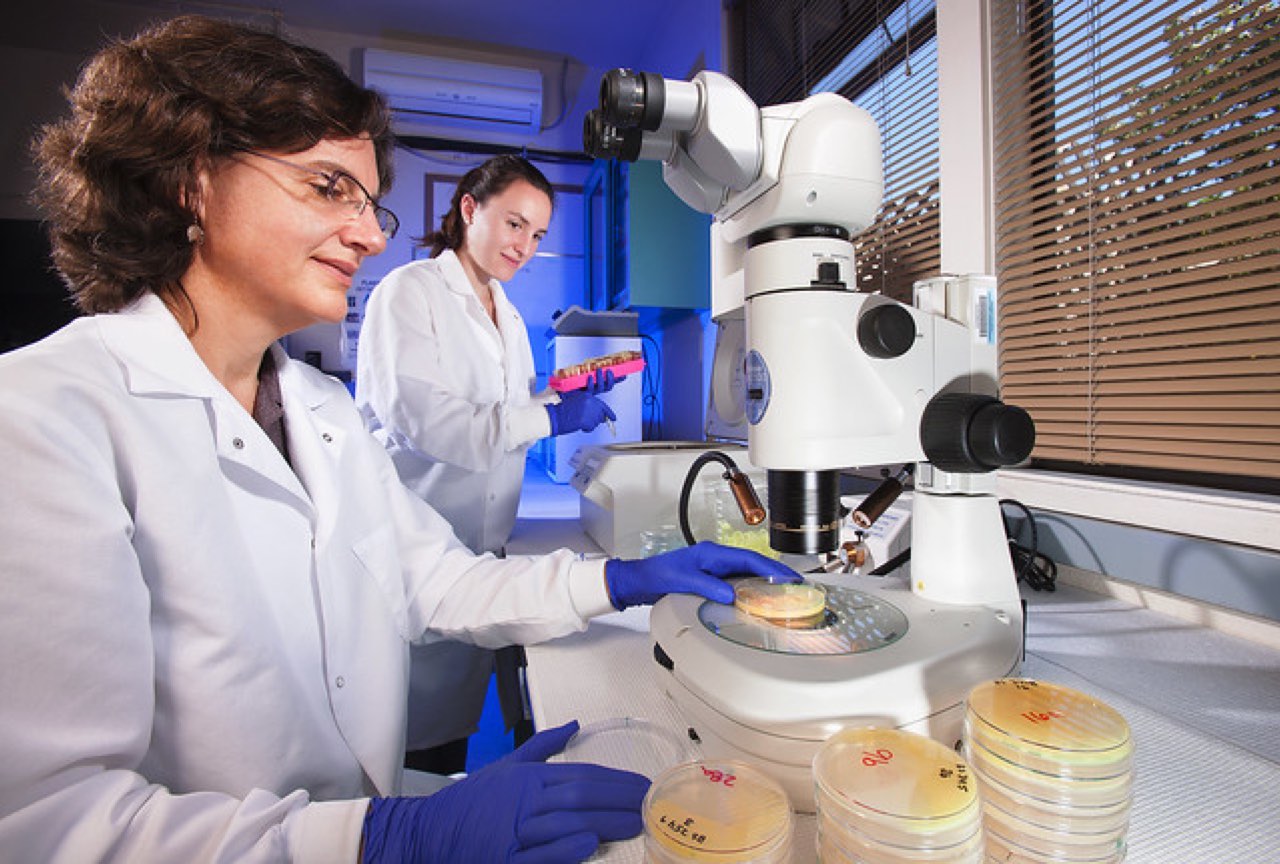 Scientific Positions