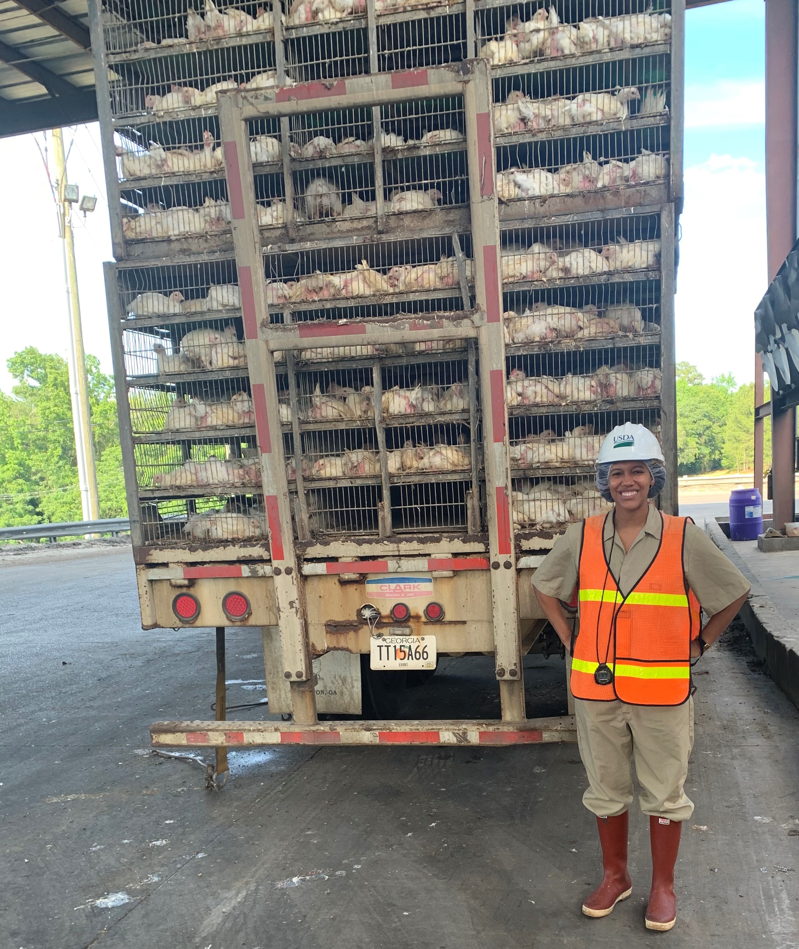 Woman wearing work gear stands next to truck of chickens