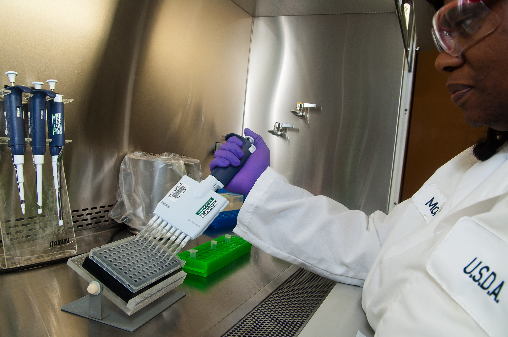 Scientist extracting samples from tubes