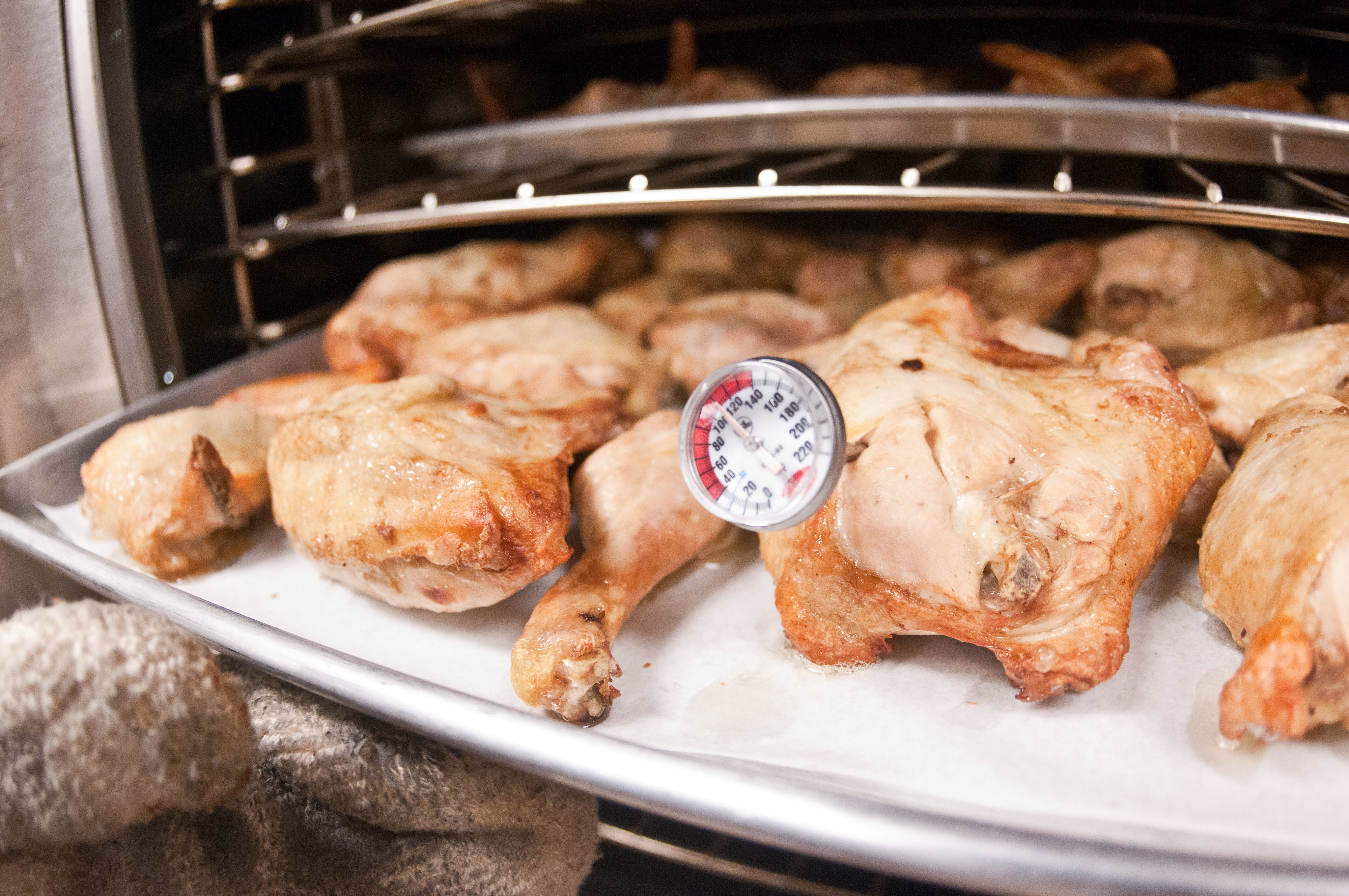 Tray of roasted chicken being checked with a thermometer