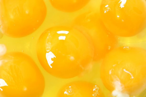 Shellless Eggs