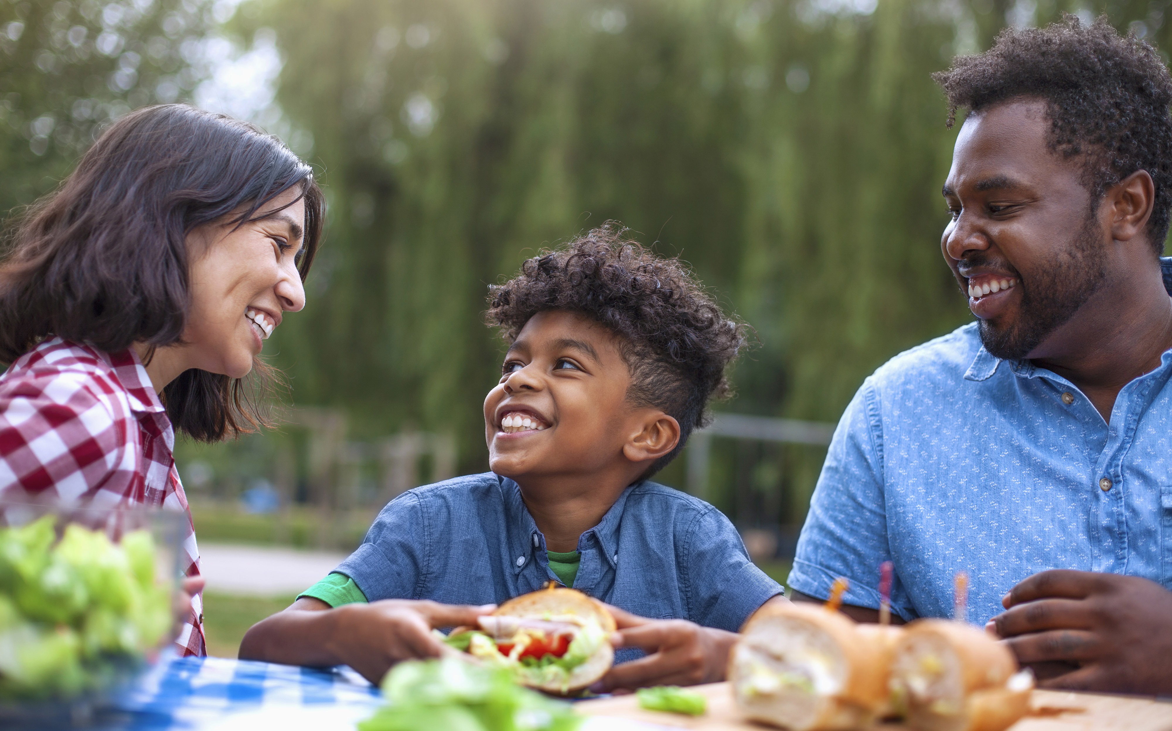 Family having a picnic