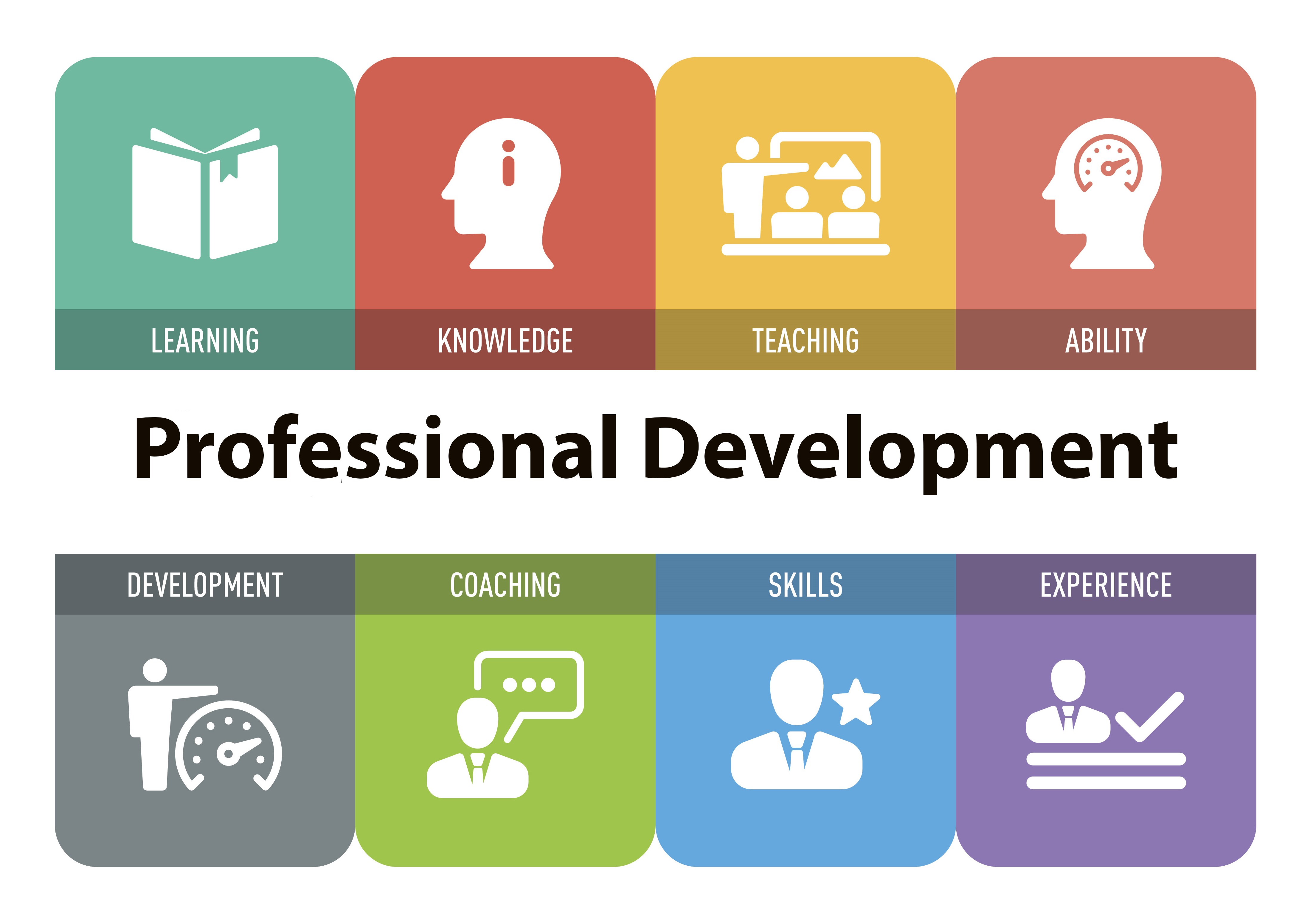Professional Development