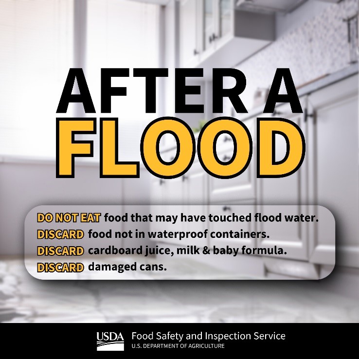 After a Flood