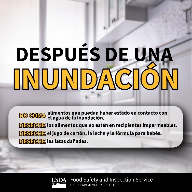  Después de una Inundación
