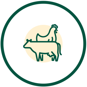 Livestock and chicken icon