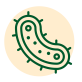 Bacteria