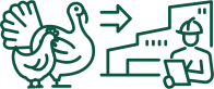 Salmonella Component 1