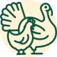 Salmonella Poultry 